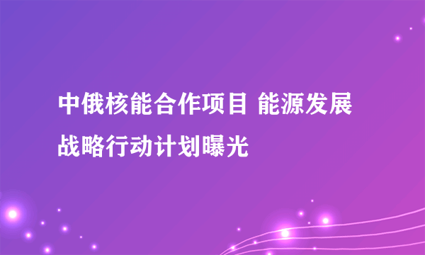 中俄核能合作项目 能源发展战略行动计划曝光