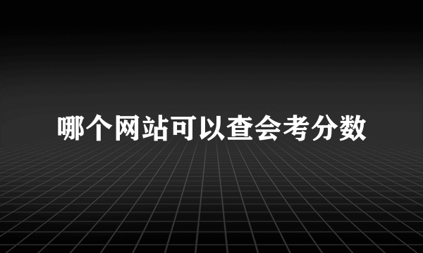 哪个网站可以查会考分数