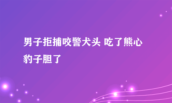 男子拒捕咬警犬头 吃了熊心豹子胆了