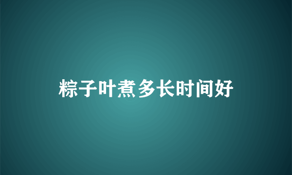 粽子叶煮多长时间好