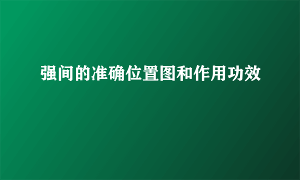 强间的准确位置图和作用功效