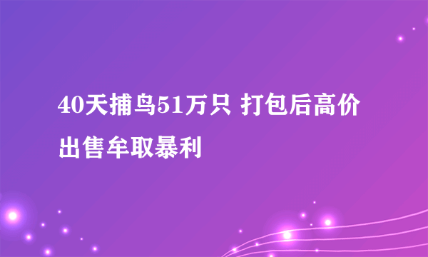 40天捕鸟51万只 打包后高价出售牟取暴利