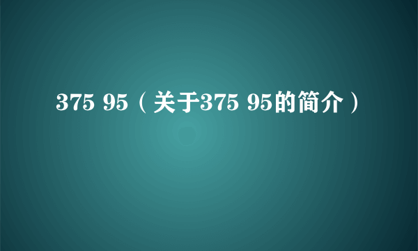 375 95（关于375 95的简介）