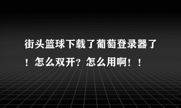 街头篮球下载了葡萄登录器了！怎么双开？怎么用啊！！