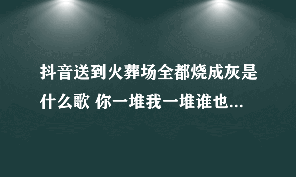 抖音送到火葬场全都烧成灰是什么歌 你一堆我一堆谁也不认识谁出处