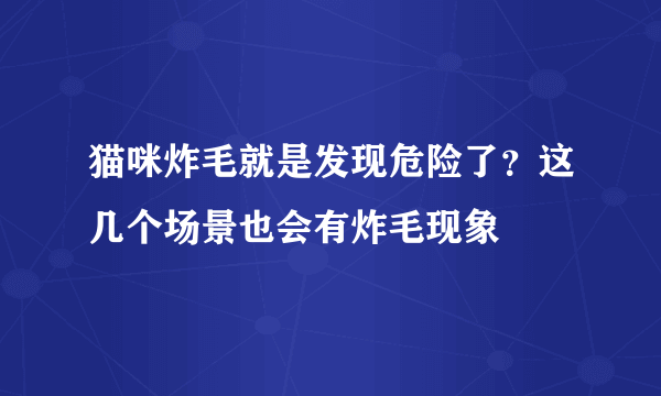 猫咪炸毛就是发现危险了？这几个场景也会有炸毛现象