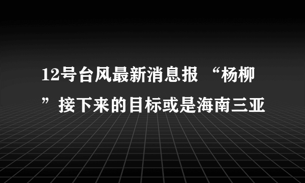 12号台风最新消息报 “杨柳”接下来的目标或是海南三亚