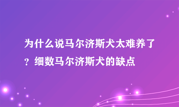 为什么说马尔济斯犬太难养了？细数马尔济斯犬的缺点