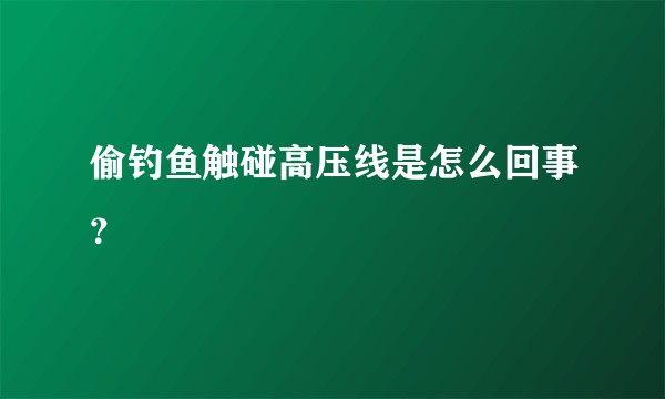 偷钓鱼触碰高压线是怎么回事？