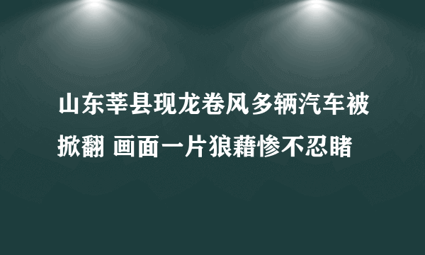 山东莘县现龙卷风多辆汽车被掀翻 画面一片狼藉惨不忍睹