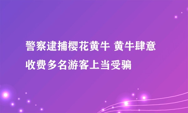 警察逮捕樱花黄牛 黄牛肆意收费多名游客上当受骗