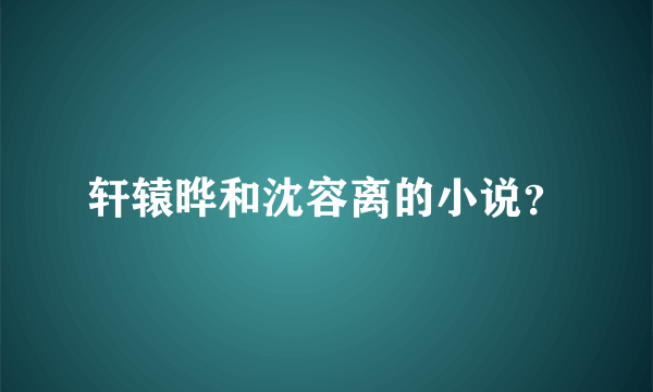 轩辕晔和沈容离的小说？