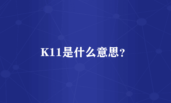 K11是什么意思？