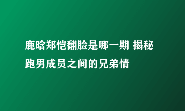 鹿晗郑恺翻脸是哪一期 揭秘跑男成员之间的兄弟情