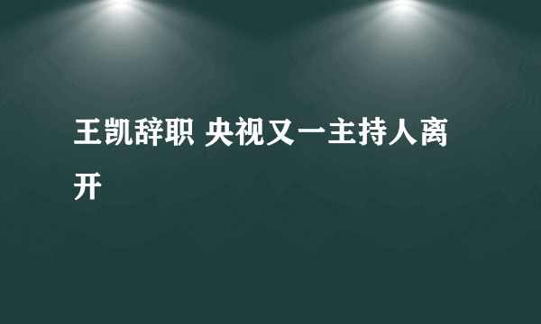 王凯辞职 央视又一主持人离开