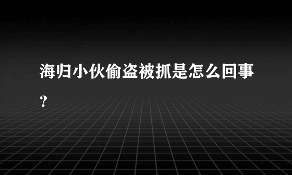 海归小伙偷盗被抓是怎么回事？