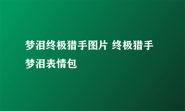 梦泪终极猎手图片 终极猎手梦泪表情包