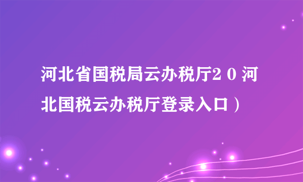 河北省国税局云办税厅2 0 河北国税云办税厅登录入口）