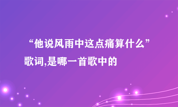 “他说风雨中这点痛算什么”歌词,是哪一首歌中的