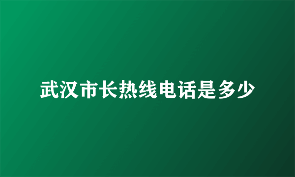 武汉市长热线电话是多少