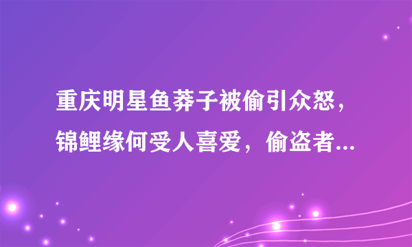 重庆明星鱼莽子被偷引众怒，锦鲤缘何受人喜爱，偷盗者该不该重罚