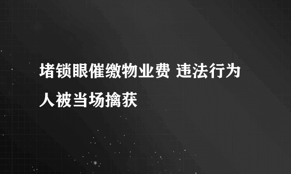 堵锁眼催缴物业费 违法行为人被当场擒获