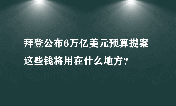 拜登公布6万亿美元预算提案 这些钱将用在什么地方？