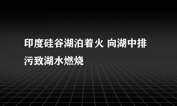 印度硅谷湖泊着火 向湖中排污致湖水燃烧