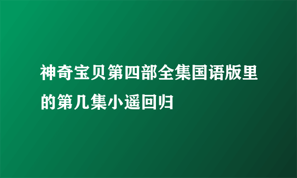 神奇宝贝第四部全集国语版里的第几集小遥回归