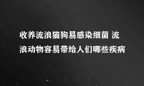 收养流浪猫狗易感染细菌 流浪动物容易带给人们哪些疾病