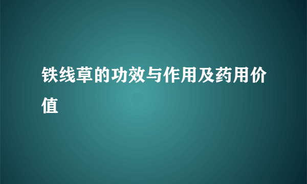 铁线草的功效与作用及药用价值