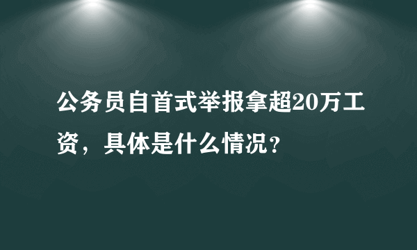 公务员自首式举报拿超20万工资，具体是什么情况？