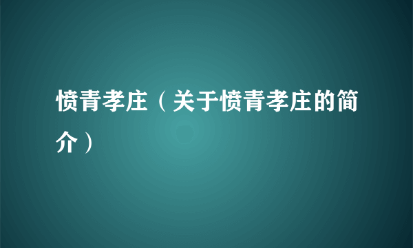 愤青孝庄（关于愤青孝庄的简介）