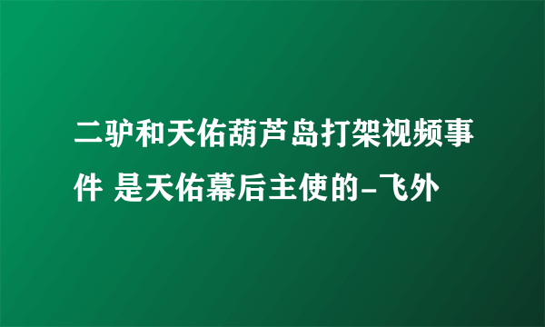 二驴和天佑葫芦岛打架视频事件 是天佑幕后主使的-飞外