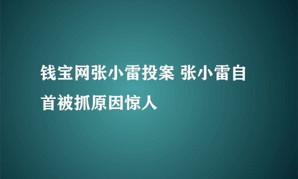 钱宝网张小雷投案 张小雷自首被抓原因惊人