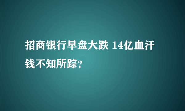 招商银行早盘大跌 14亿血汗钱不知所踪？