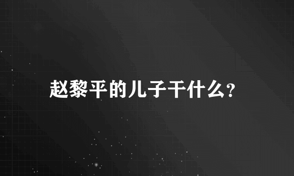 赵黎平的儿子干什么？