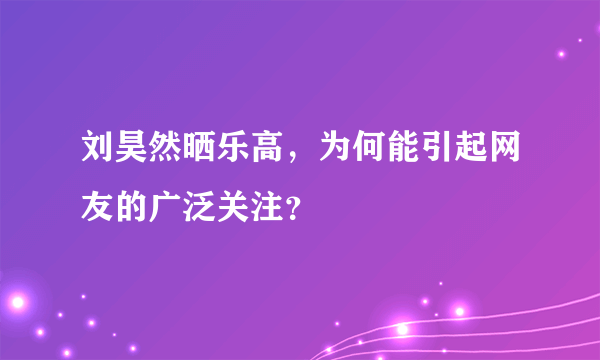 刘昊然晒乐高，为何能引起网友的广泛关注？