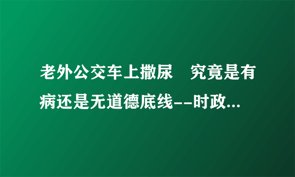 老外公交车上撒尿 究竟是有病还是无道德底线--时政--飞外