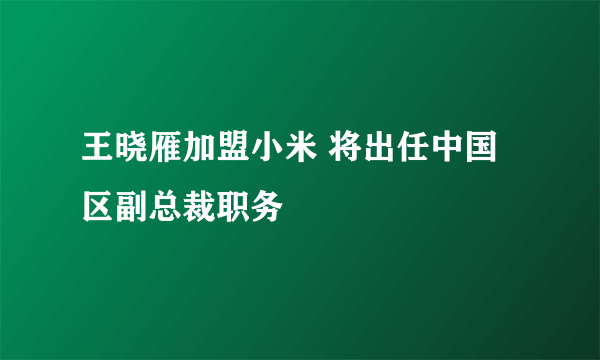 王晓雁加盟小米 将出任中国区副总裁职务