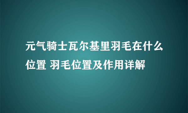 元气骑士瓦尔基里羽毛在什么位置 羽毛位置及作用详解