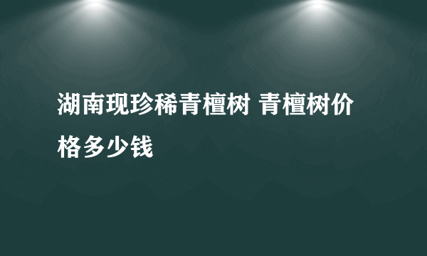 湖南现珍稀青檀树 青檀树价格多少钱