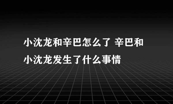 小沈龙和辛巴怎么了 辛巴和小沈龙发生了什么事情