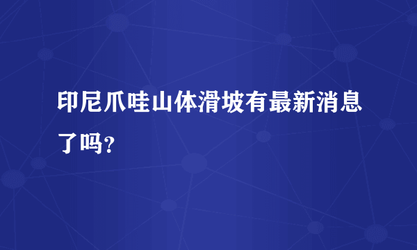 印尼爪哇山体滑坡有最新消息了吗？