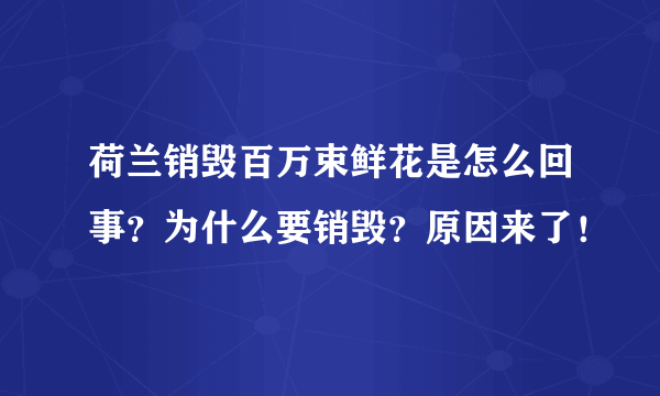 荷兰销毁百万束鲜花是怎么回事？为什么要销毁？原因来了！