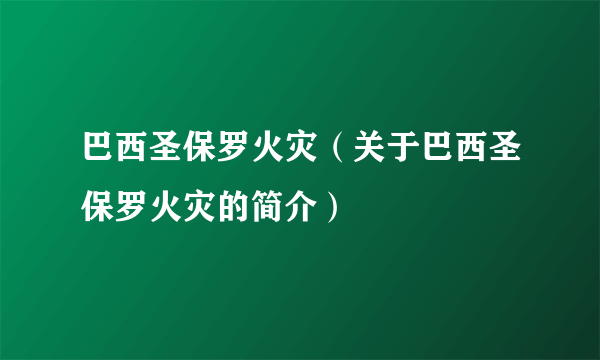 巴西圣保罗火灾（关于巴西圣保罗火灾的简介）