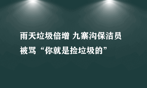 雨天垃圾倍增 九寨沟保洁员被骂“你就是捡垃圾的”