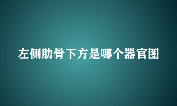 左侧肋骨下方是哪个器官图