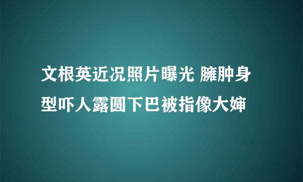 文根英近况照片曝光 臃肿身型吓人露圆下巴被指像大婶