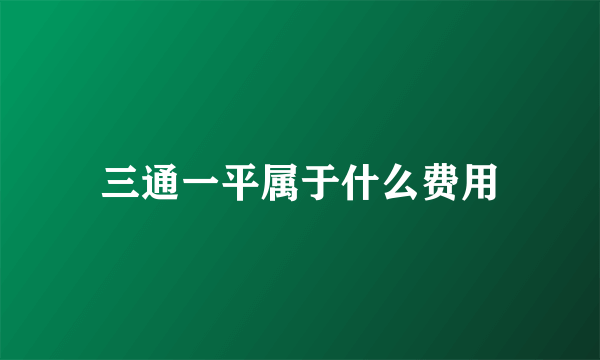 三通一平属于什么费用